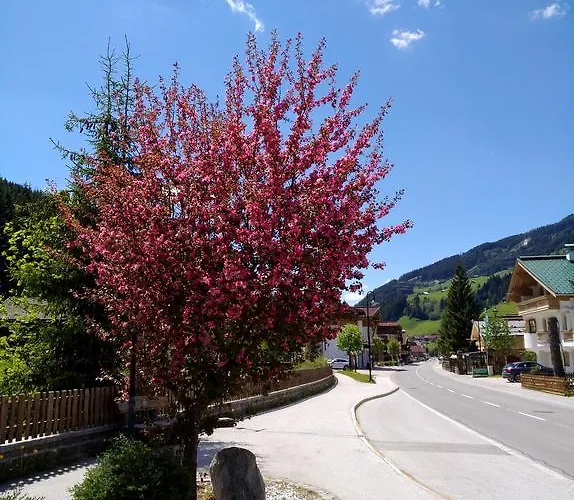 Gaestehaus Geislerin Affittacamere