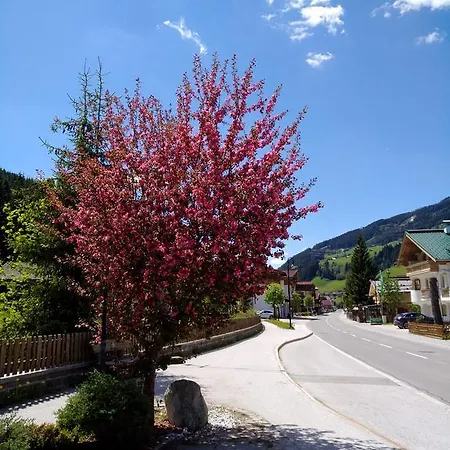 Gaestehaus Geislerin Penzion