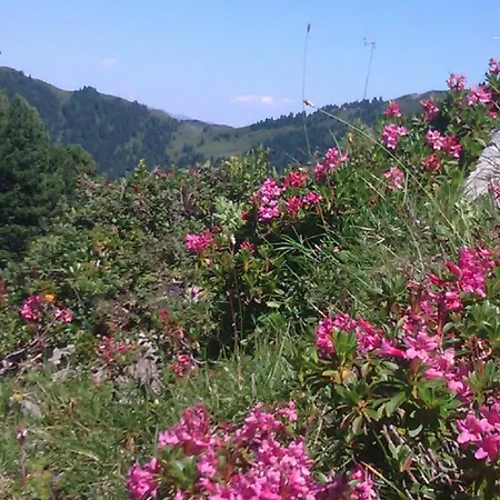 Гостевой дом Gaestehaus Geislerin Герлос