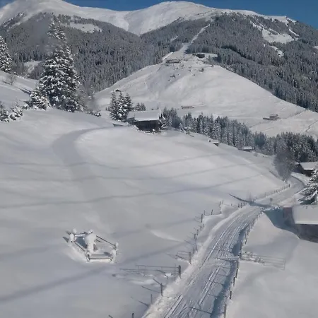 Gaestehaus Geislerin Гостевой дом